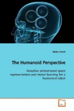 The Humanoid Perspective