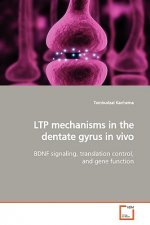 LTP mechanisms in the dentate gyrus in vivo