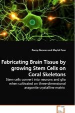 Fabricating Brain Tissue by growing Stem Cells on Coral Skeletons