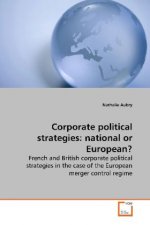 Corporate political strategies: national or  European?