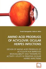 Amino Acid Prodrugs of Acyclovir