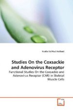 Studies On the Coxsackie and Adenovirus Receptor