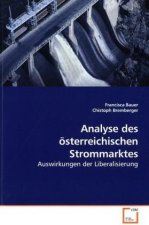 Analyse des österreichischen Strommarktes