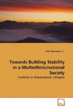 Towards Building Stability in a Multiethnic/national  Society