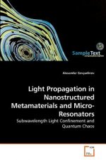 Light Propagation in Nanostructured Metamaterials and Micro-Resonators