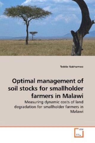 Optimal management of soil stocks for smallholder farmers in Malawi