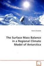 The Surface Mass Balance in a Regional Climate Model of Antarctica