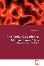 Partial Oxidation of Methanol over Silver