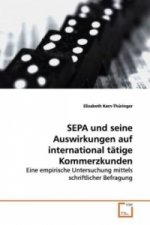 SEPA und seine Auswirkungen auf international tätige  Kommerzkunden