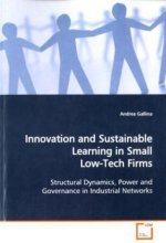 Innovation and Sustainable Learning in Small Low-Tech Firms