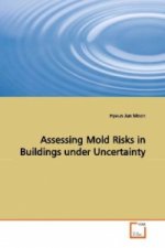 Assessing Mold Risks in Buildings under Uncertainty