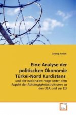 Eine Analyse der politischen Ökonomie Türkei-Nord Kurdistans
