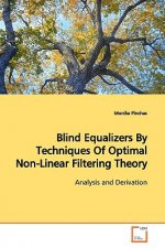 Blind Equalizers By Techniques Of Optimal Non-Linear Filtering Theory