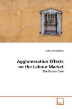 Agglomeration Effects on the Labour Market