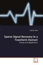 Sparse Signal Recovery in a Transform Domain