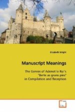 Manuscript Meanings