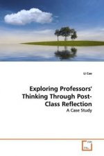 Exploring Professors' Thinking Through Post-Class Reflection