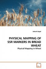 Physical Mapping of Ssr Markers in Bread Wheat