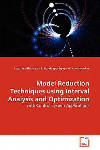 Model Reduction Techniques using Interval Analysis and Optimization