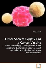 Tumor Secreted grp170 as a Cancer Vaccine