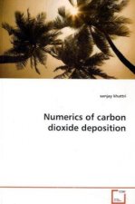 Numerics of carbon dioxide deposition