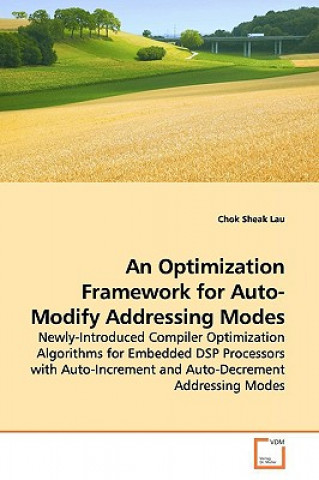 Optimization Framework for Auto-Modify Addressing Modes