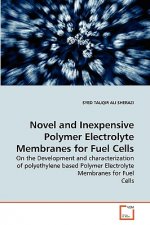 Novel and Inexpensive Polymer Electrolyte Membranes for Fuel Cells