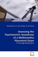Assessing the Psychometric Soundness of a Mathematics Placement Exam