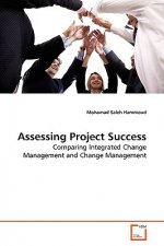 Assessing Project Success