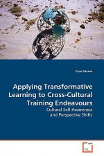 Applying Transformative Learning to Cross-Cultural Training Endeavours