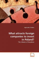 What attracts foreign companies to invest in Poland?
