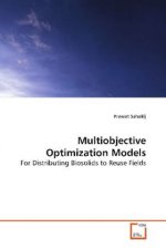 Multiobjective Optimization Models