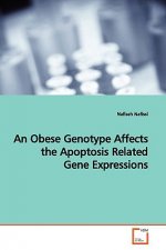 Obese Genotype Affects the Apoptosis Related Gene Expressions