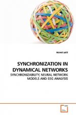 Synchronization in Dynamical Networks