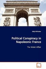 Political Conspiracy in Napoleonic France