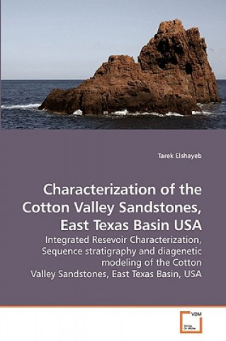Characterization of the Cotton Valley Sandstones, East Texas Basin USA