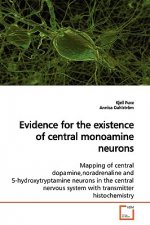 Evidence for the existence of central monoamine neurons