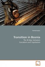 Transition in Bosnia