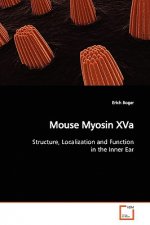 Mouse Myosin XVa