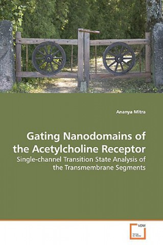 Gating Nanodomains of the Acetylcholine Receptor