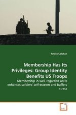 Membership Has Its Privileges: Group Identity  Benefits US Troops