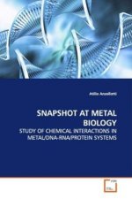 SNAPSHOT AT METAL BIOLOGY