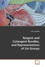 Tangent and Cotangent Bundles, and Representations of Lie Groups