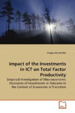 Impact of the Investments in ICT on Total Factor Productivity