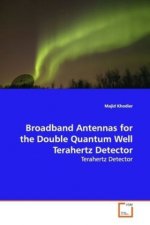Broadband Antennas for the Double Quantum Well  Terahertz Detector