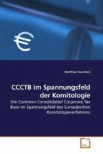 CCCTB im Spannungsfeld der Komitologie