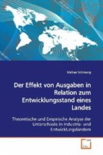 Der Effekt von Ausgaben in Relation zum Entwicklungsstand eines Landes