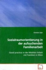 Sozialraumorientierung in der aufsuchenden  Familienarbeit