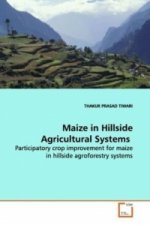 Maize in Hillside Agricultural Systems