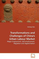 Transformations and Challenges of China's Urban Labour Market